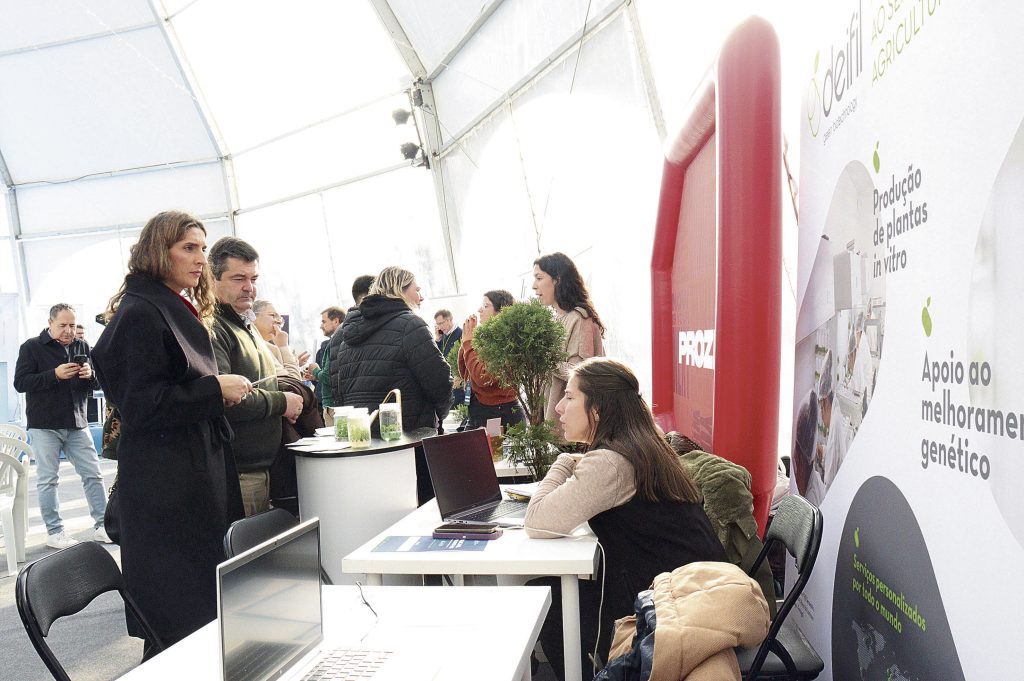 Mercado de Oportunidades